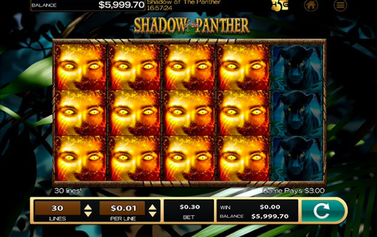 shadow-of-the-panther-slot-features.png
