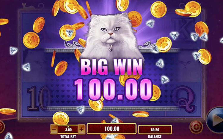 Kitty Glitter Slot PrimeSlots