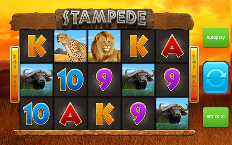 Stampede Slot PrimeSlots