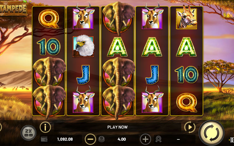 Stampede Slot PrimeSlots